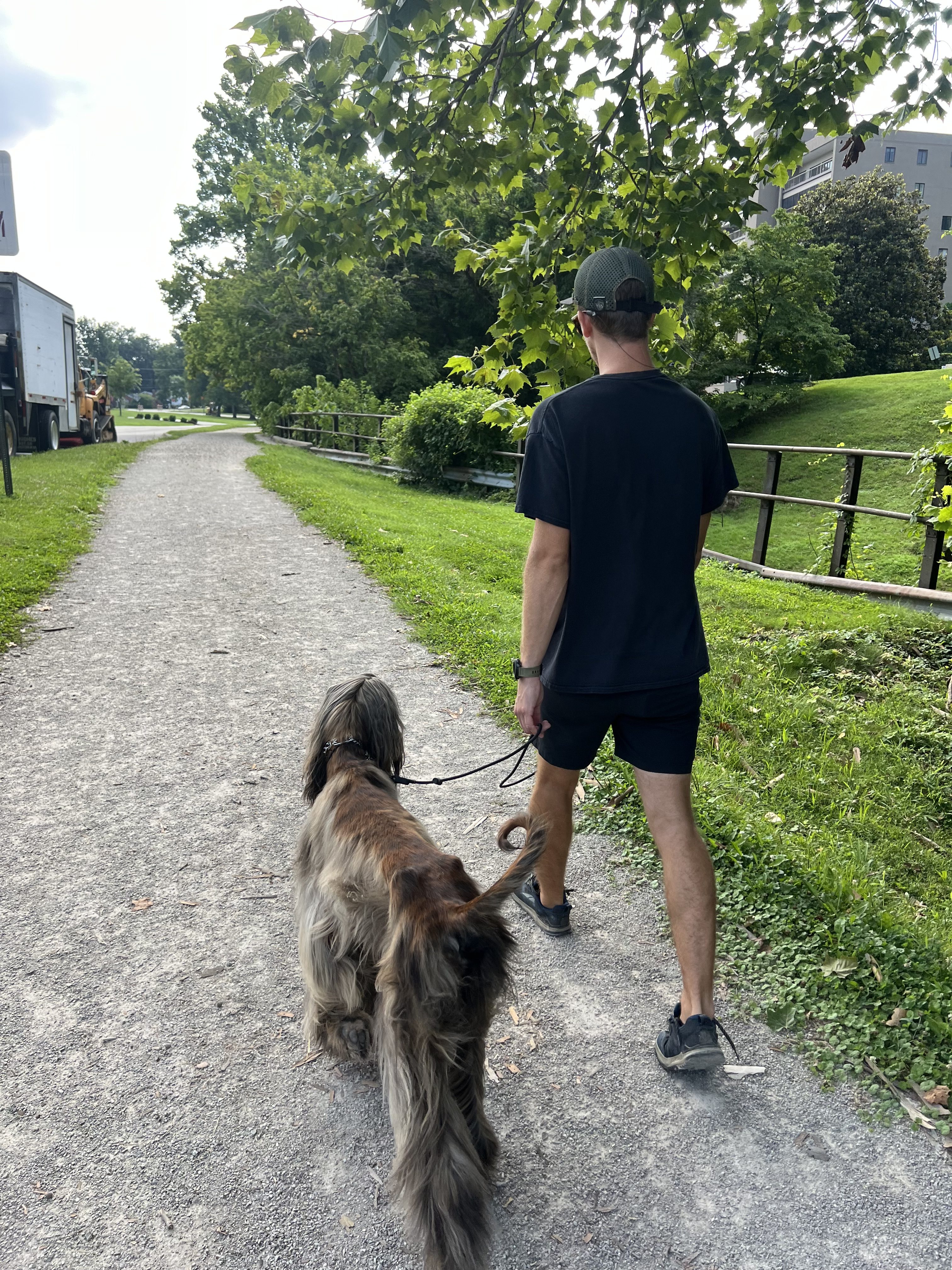 Dog training during an outdoor walk